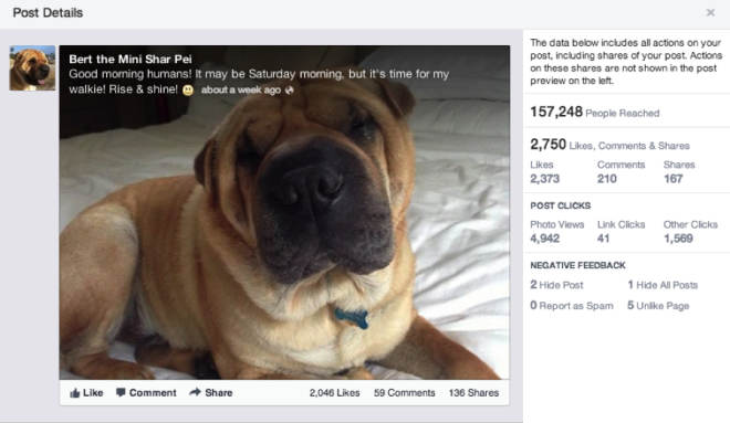 Screenshot1