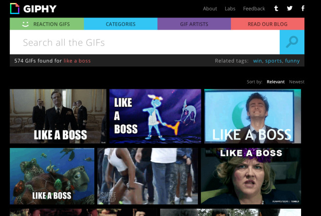 giphy