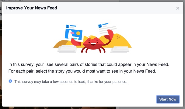 Facebook-Umfrage zum Newsfeed