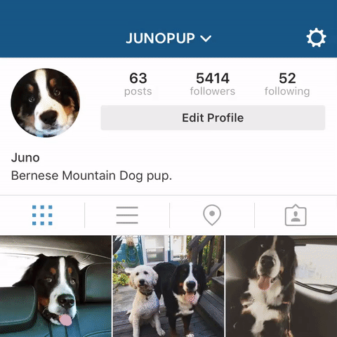 instagram-accounts