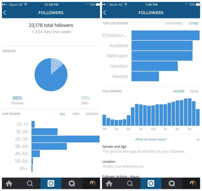 https---blueprint-api-production.s3.amazonaws.com-uploads-card-image-86852-Insta_analytics-1
