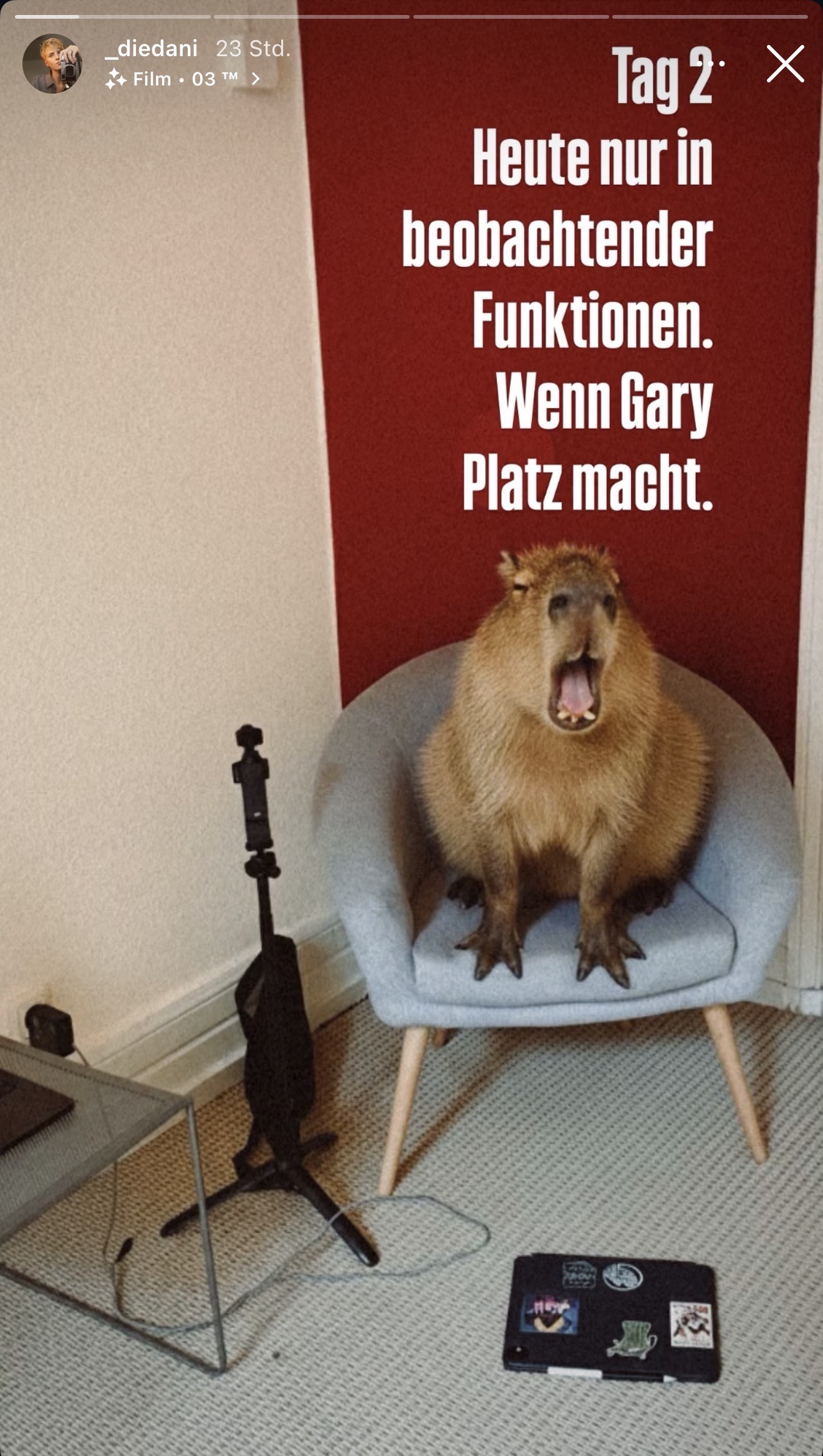 Das virtuelle und KI-generierte Capybara Gary.