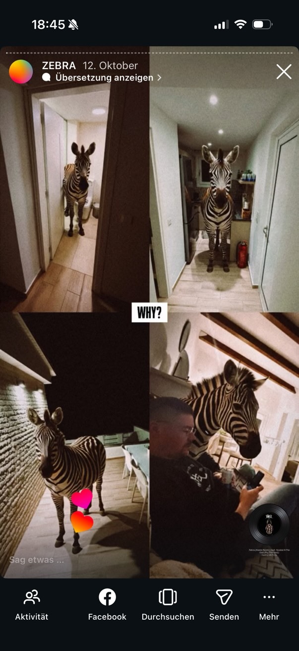 Das virtuelle und KI-generierte Zebra Pepsi Carola.